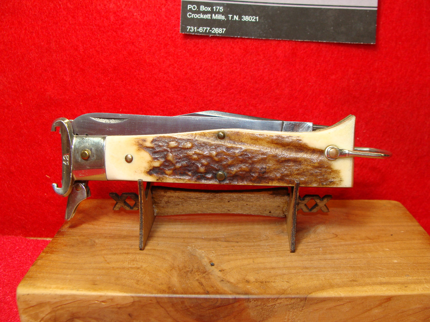 LEPRE  ITALY 1950-60 HUNTER SHELL PULLER FULCRUM RELEASE ITALIAN AUTOMATIC KNIFE STAG HANDLES